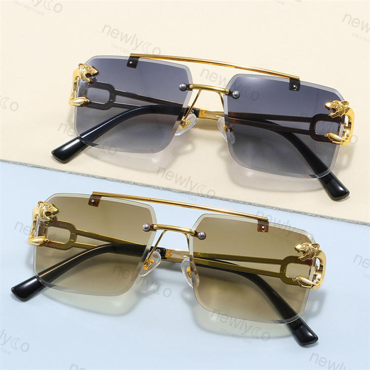 Fashion Sunglasses(Buy 1 Free 1) - C/AC94